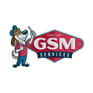 Team Page: GSM Services